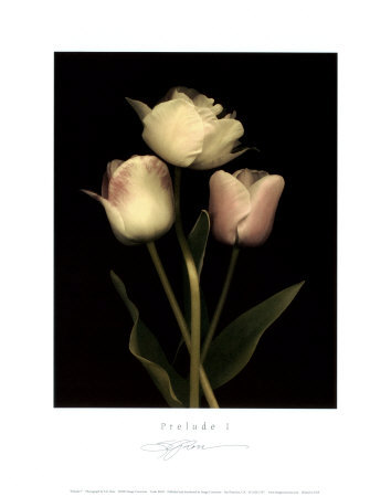 Prelude I Print Prelude I Print