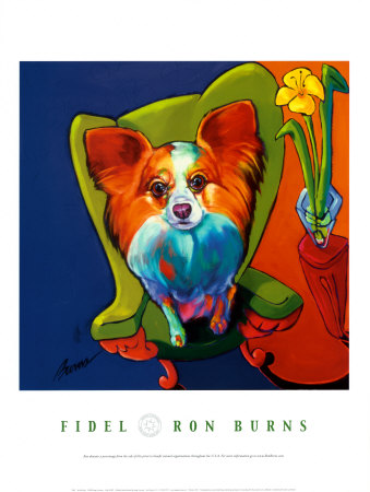 Fidel Print Fidel Print