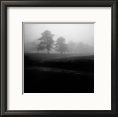 Fog Tree Study II Framed Print Fog Tree Study II Framed Print