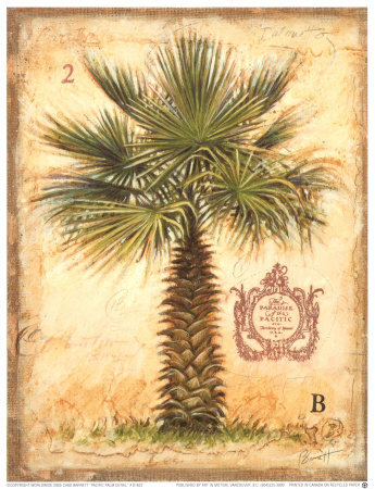 Pacific Palm Detail Print Pacific Palm Detail Print