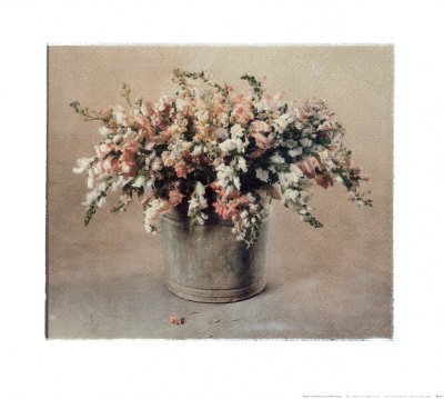 Snapdragons Print Snapdragons Print