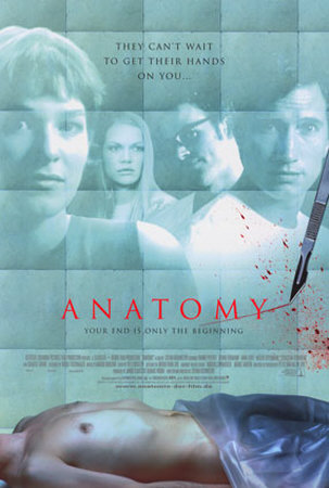 Anatomy Poster Anatomy Poster