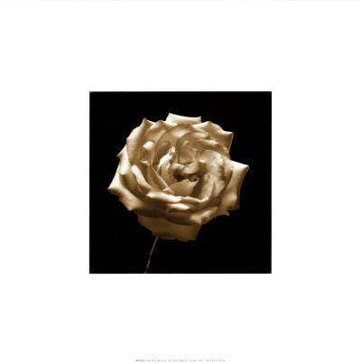 Flower Series III Print Flower Series III Print