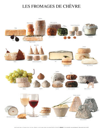 Goat Cheeses Print Goat Cheeses Print