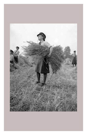 Women at War: Forces Services Print Women at War: Forces Services Print