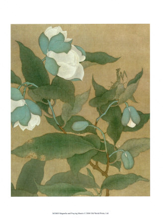 Magnolia and Praying Mantis Print Magnolia and Praying Mantis Print