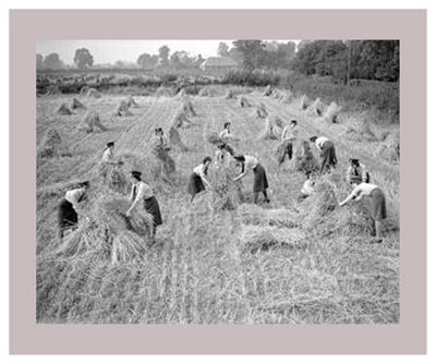 Women at War: On the Land Print Women at War: On the Land Print