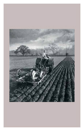 Women at War: On the Land Print Women at War: On the Land Print