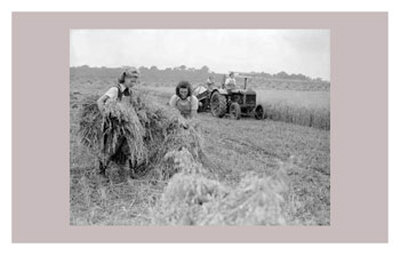 Women at War: On the Land Print Women at War: On the Land Print