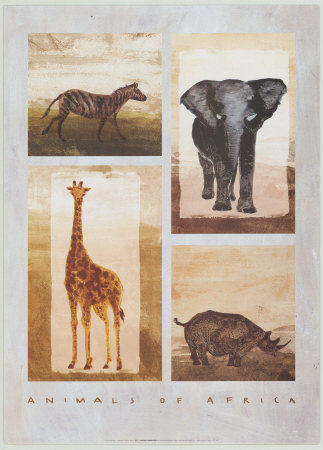Animals of Africa Print. zoom. view in room