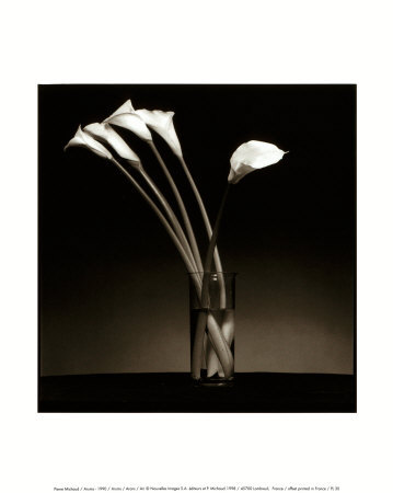 Arums Print Arums Print