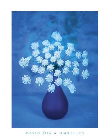 Lace Flowers Print Lace Flowers Print