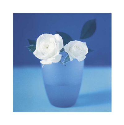 Roses Print Roses Print