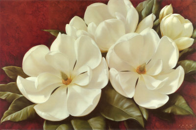 Magnolia Crimson II Print Magnolia Crimson II Print