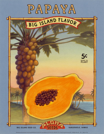 Papaya Print Papaya Print