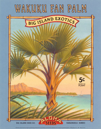 Wakuku Fan Palm Print Wakuku Fan Palm Print