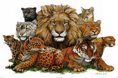 Great Cats Poster Great Cats Poster