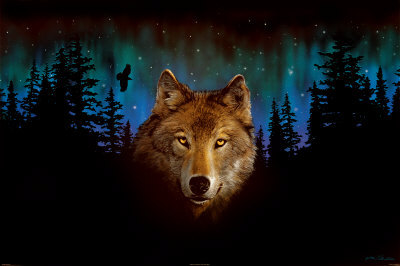 Northern Light Wolf Poster Northern Light Wolf Poster