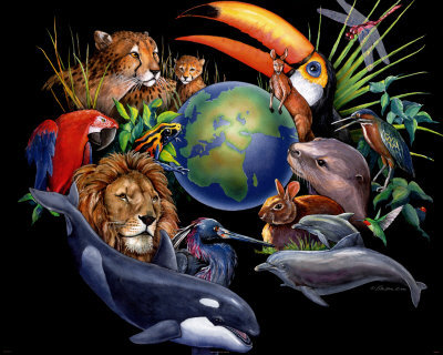 Living Earth Poster Living Earth Poster