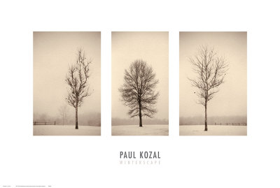 Winterscapes Print Winterscapes Print