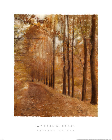 Walking Trail Print Walking Trail Print