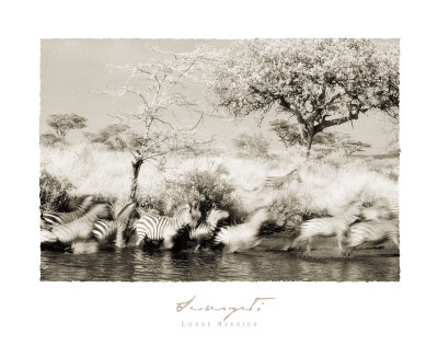 Serengeti I Print Serengeti I Print