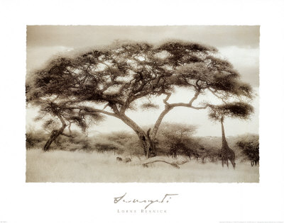Serengeti II Print Serengeti II Print
