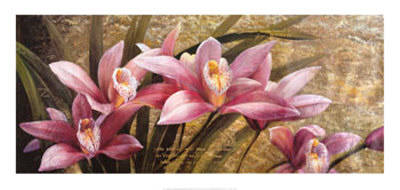 Fragile Beauty Print Fragile Beauty Print