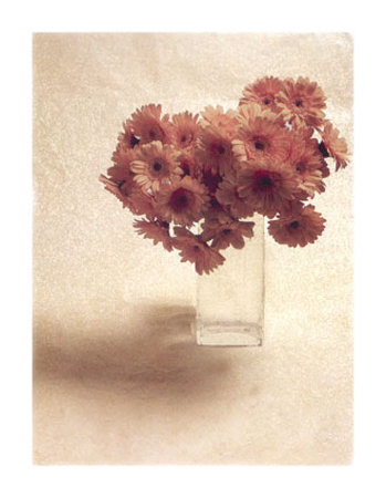 Cut Flowers IV Print Cut Flowers IV Print