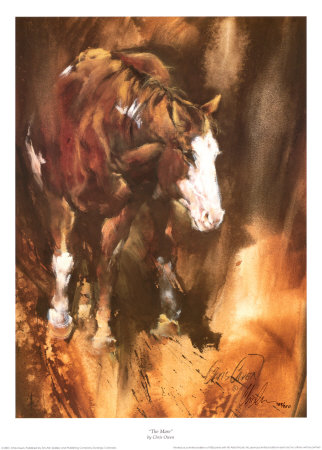 Mare (LE) Limited Edition Mare (LE) Limited Edition