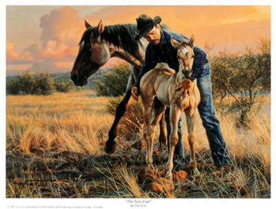 New Foal Print New Foal Print