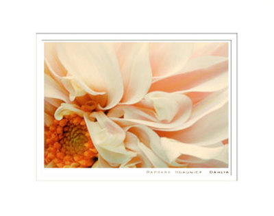 Dahlia Matted Print Dahlia Matted Print