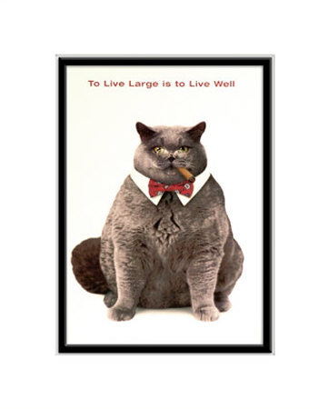 Fat Cat Matted Print Fat Cat Matted Print