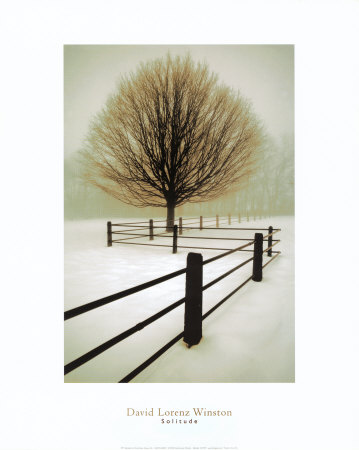 Solitude Print Solitude Print