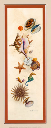 Seashell Island Print Seashell Island Print