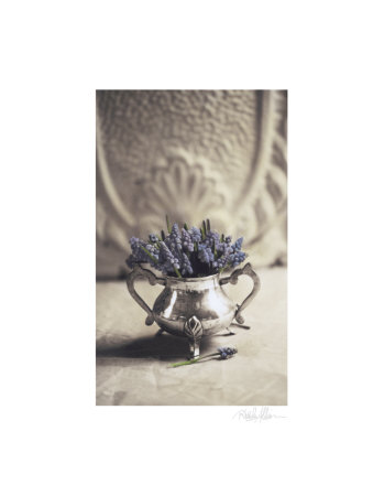 Hyacinth Print Hyacinth Print