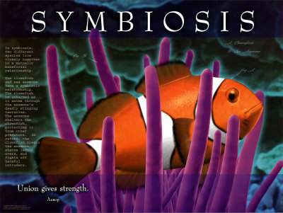  symbiosis