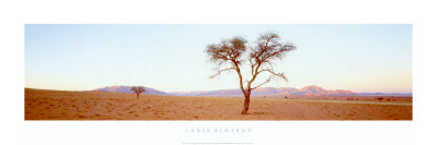 Desert Twilight Print Desert Twilight Print