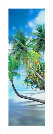 Palm Cove II Print Palm Cove II Print