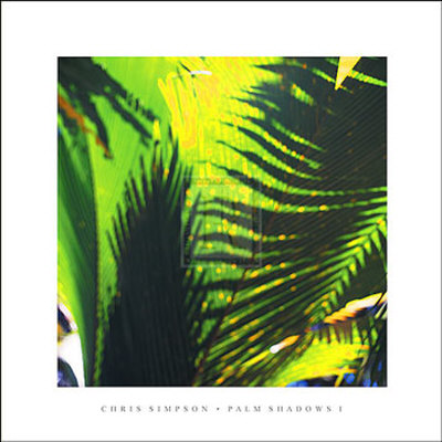 Palm Shadows I Print Palm Shadows I Print