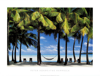 The Hammock Print The Hammock Print