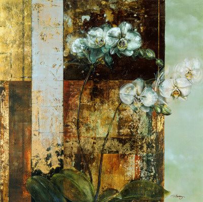 Anant Orchid Print Anant Orchid Print