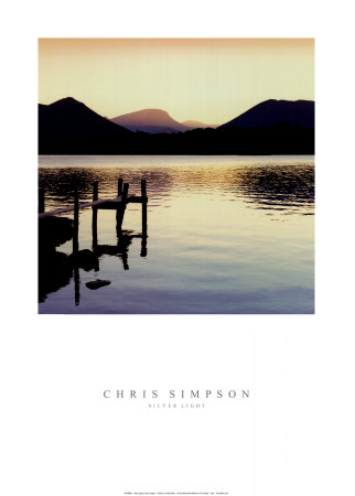 Silver Light Print Silver Light Print