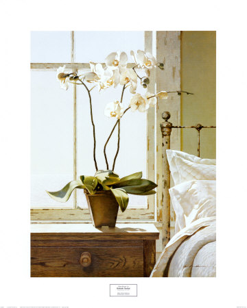 Bedside Orchid Print Bedside Orchid Print