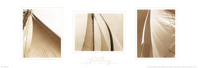 Sail Away Trilogy Print Sail Away Trilogy Print