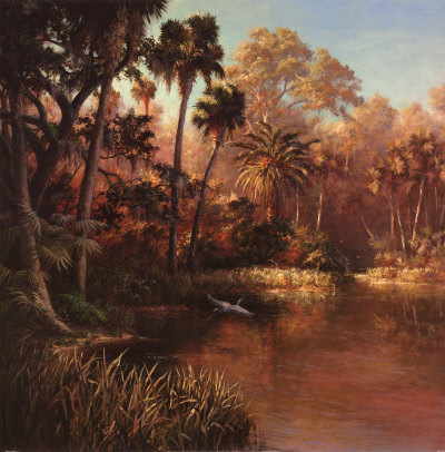 Myakka Sunset Print Myakka Sunset Print