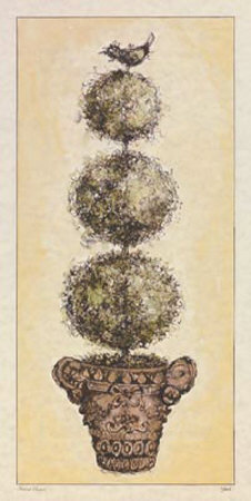 Herbal Pompom Print Herbal Pompom Print