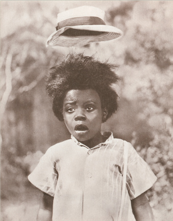 Buckwheat Poster Card Buckwheat Poster Card