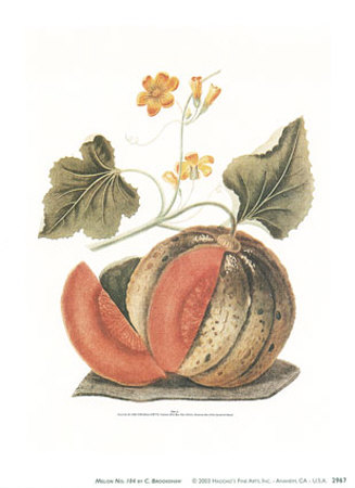 Melon Print Melon Print