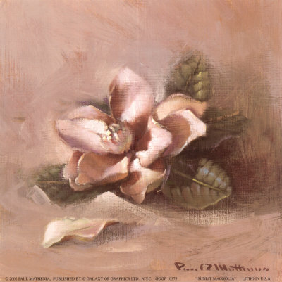 Sunlit Magnolia Print Sunlit Magnolia Print